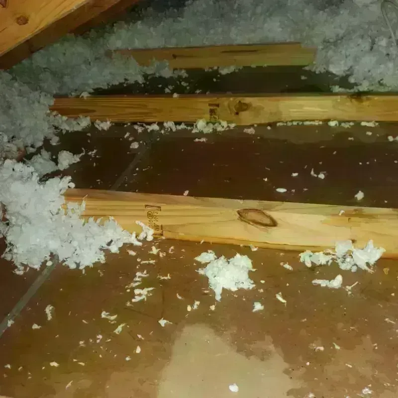 Attic Water Damage in Passapatanzy, VA