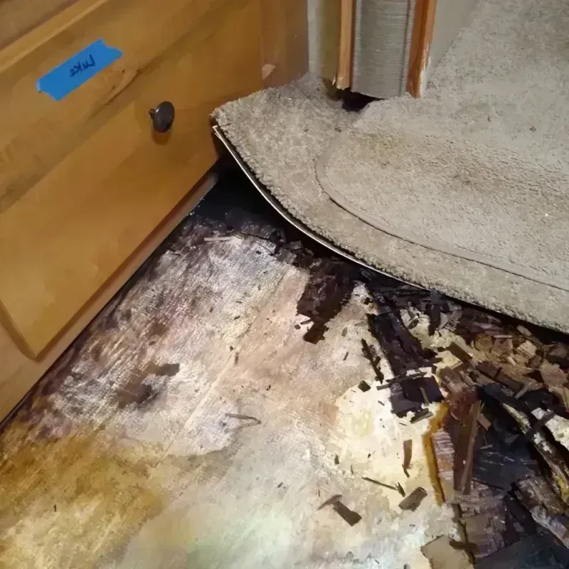 Wood Floor Water Damage in Passapatanzy, VA